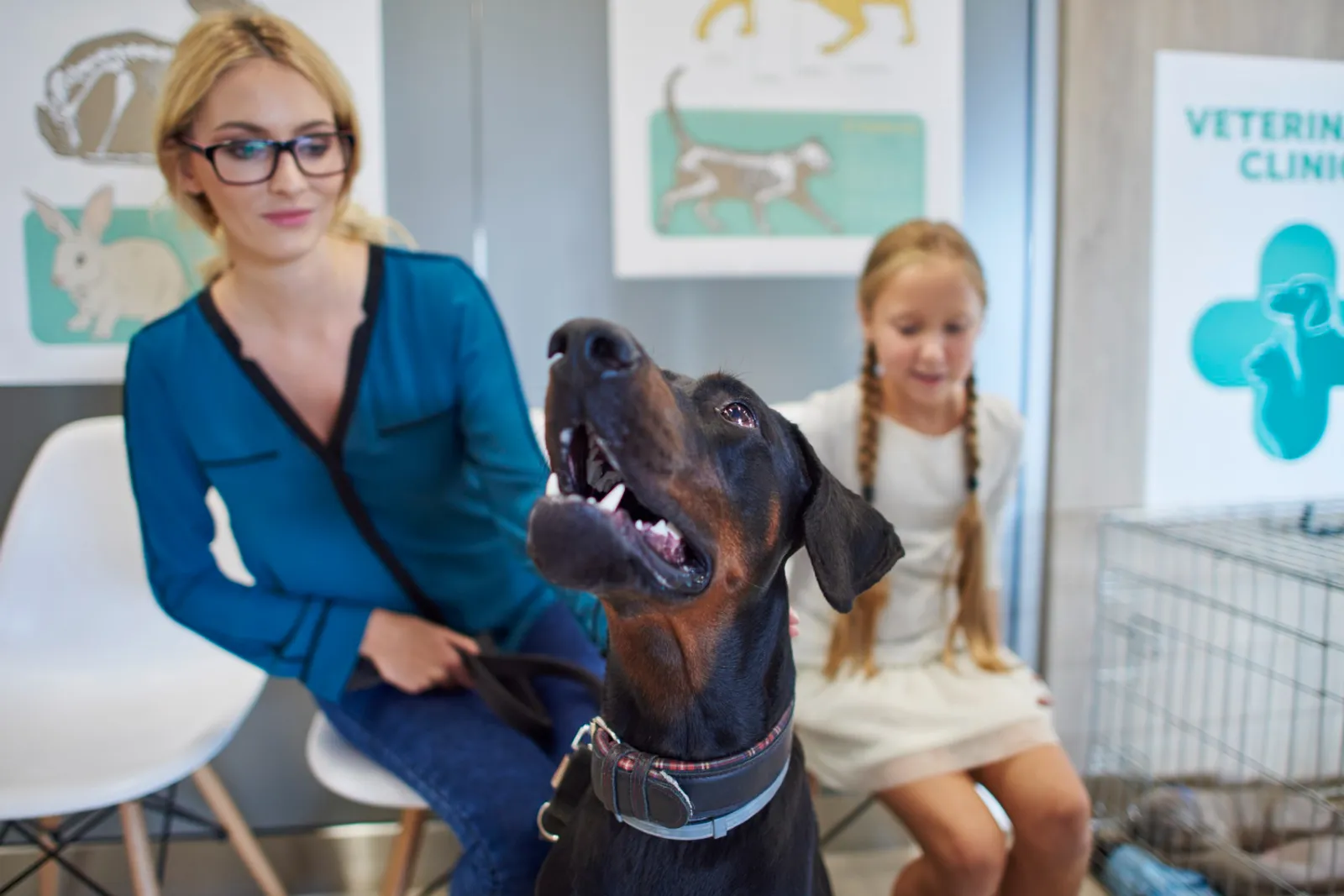 Un propriétaire de chien examine des documents de remboursement vétérinaire dans une clinique, son animal à ses côtés.