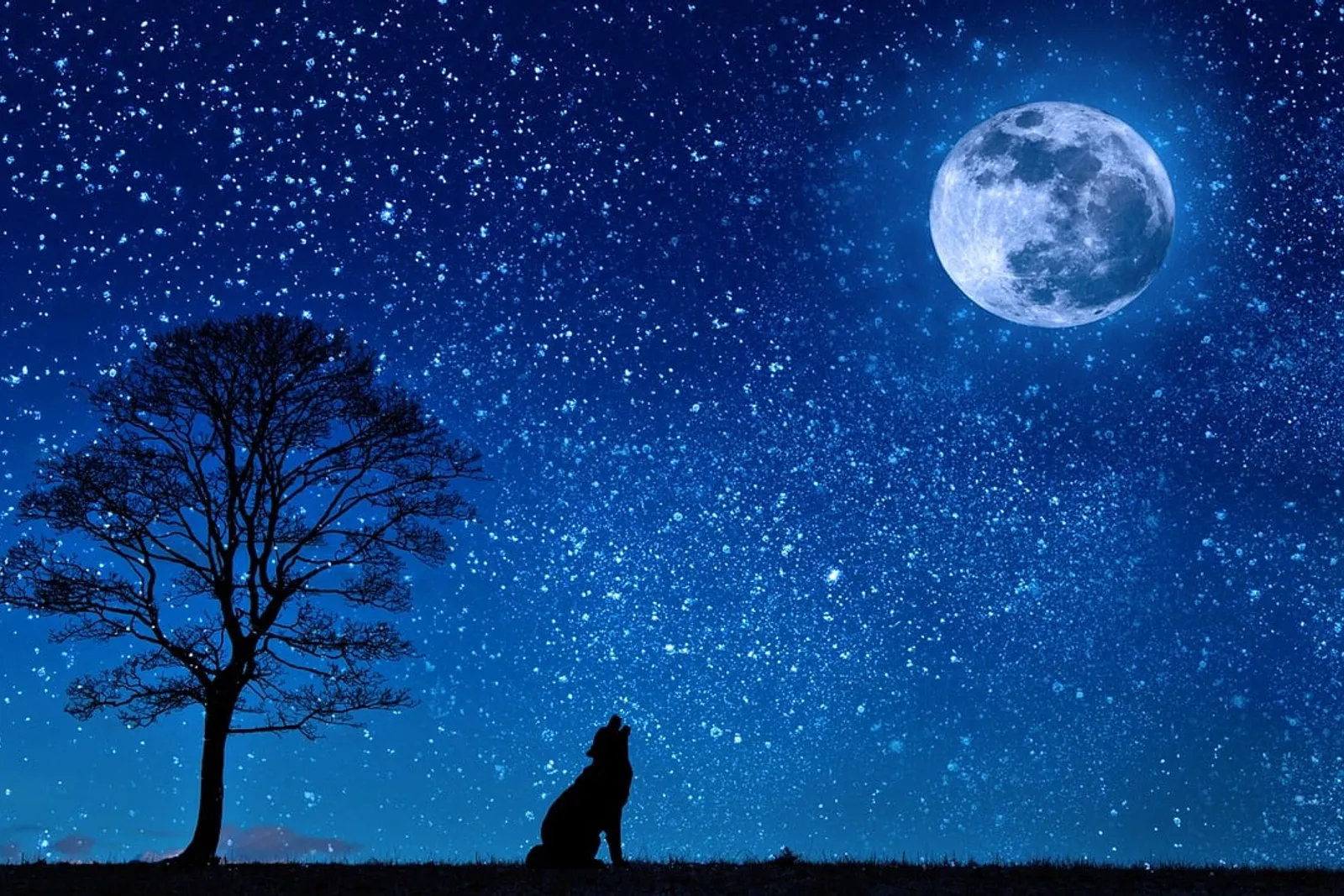 Une personne allongée dans son lit pendant une nuit de pleine lune, avec une lumière douce filtrant par la fenêtre.
